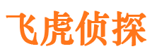 天等调查取证